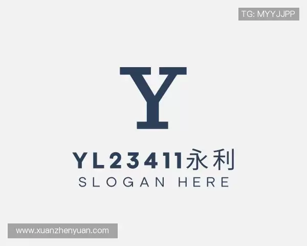 关于yl23411永利